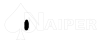 NAIPER_-_Logo-removebg-preview